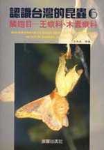 認識台灣的昆蟲,鱗翅目-王蛾科.木蠹蛾科