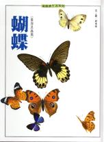 蝴蝶 : 臺灣昆蟲篇