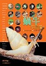 蝸牛不思議  : 21個不可思議主題&100種台灣蝸牛圖鑑