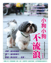 小狗小狗不流浪 /
