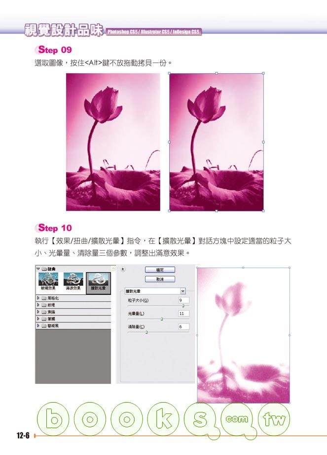 ►GO►最新優惠► 【書籍】視覺設計品味 PhotoShop CS5、Illustrator CS5、InDesign CS5(附範例VCD)