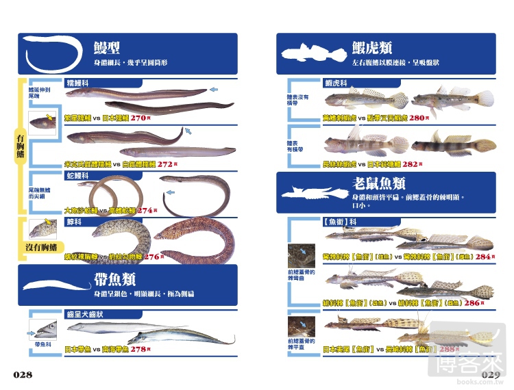 ►GO►最新優惠► [暢銷書]海水魚完全識別圖解：267種海水魚全解析