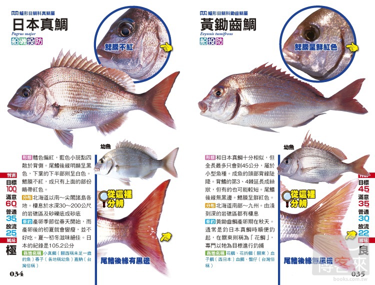 ►GO►最新優惠► [暢銷書]海水魚完全識別圖解：267種海水魚全解析