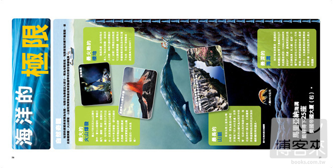 ►GO►最新優惠► [暢銷書]海洋生物總動員：認識海豚、鯊魚、企鵝、海龜，以及大海裡最搶眼的60種奇妙動物和牠們的水中世界