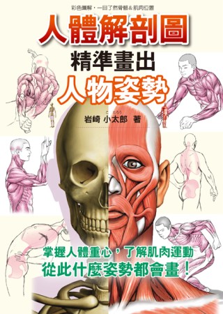 人體解剖圖 精準畫出人物姿勢：彩色圖解，一目了然骨骼&肌肉位置
