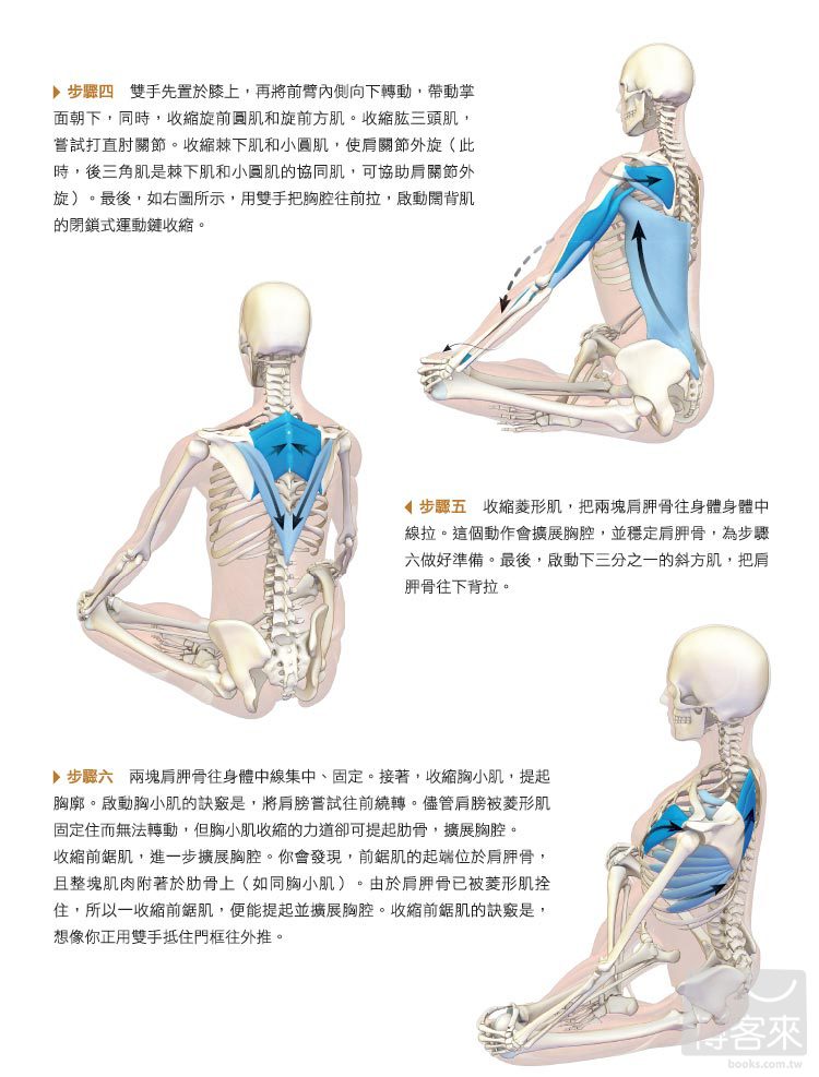 ►GO►最新優惠► [暢銷書]身體前彎及髖關節伸展瑜伽：矯正骨盆、強化肌群、遠離疼痛的身體解剖書