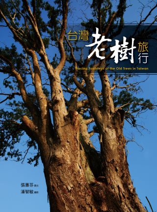 台灣老樹旅行