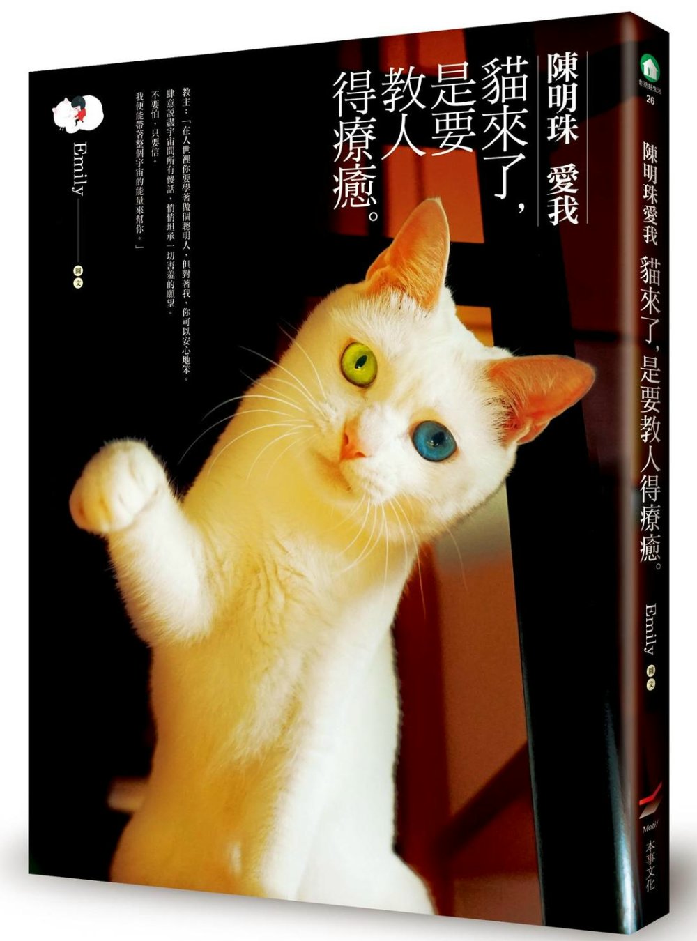 陳明珠愛我：貓來了，是要教人得療癒