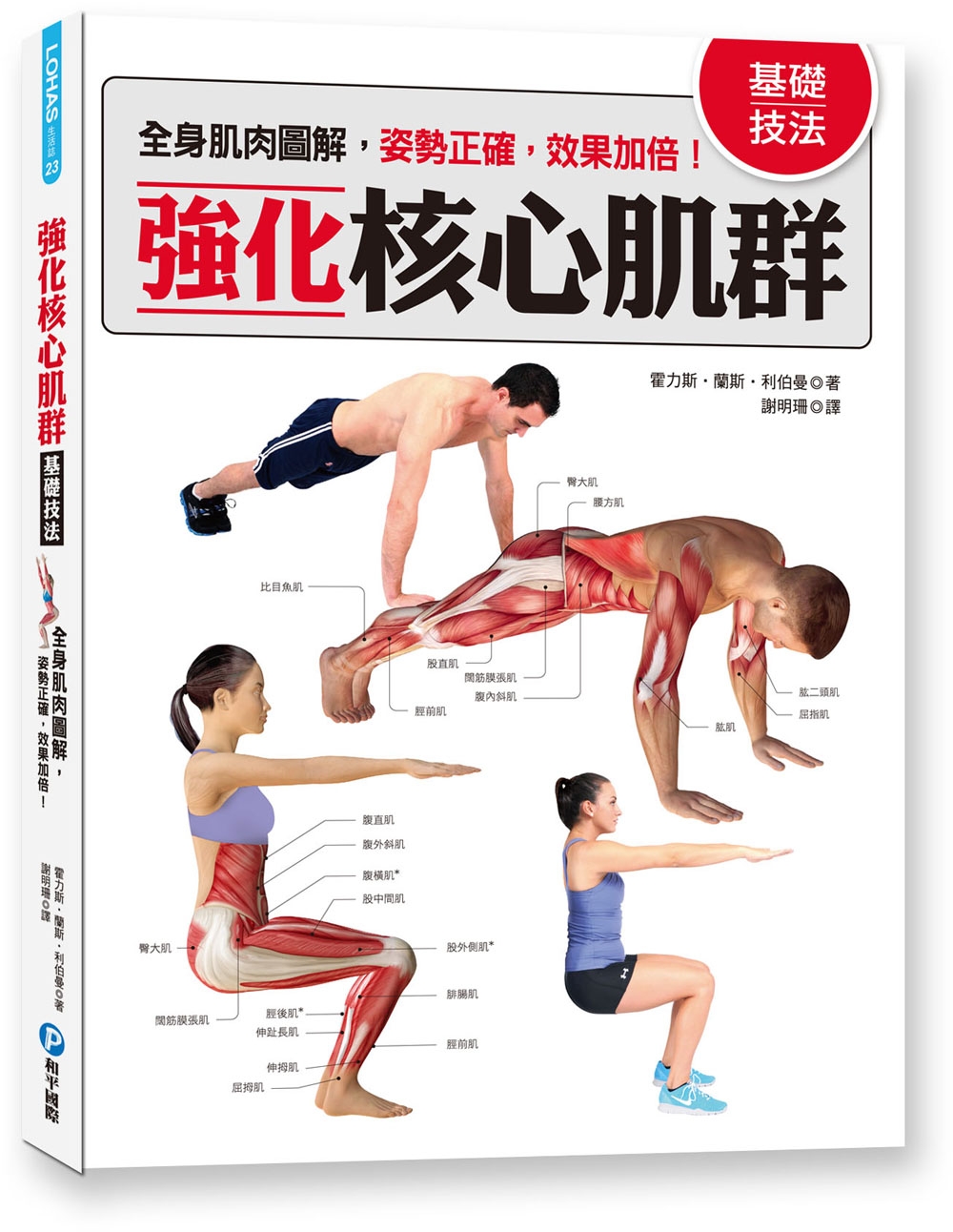 強化核心肌群基礎技法：全身肌肉圖解，姿勢正確，效果加倍!