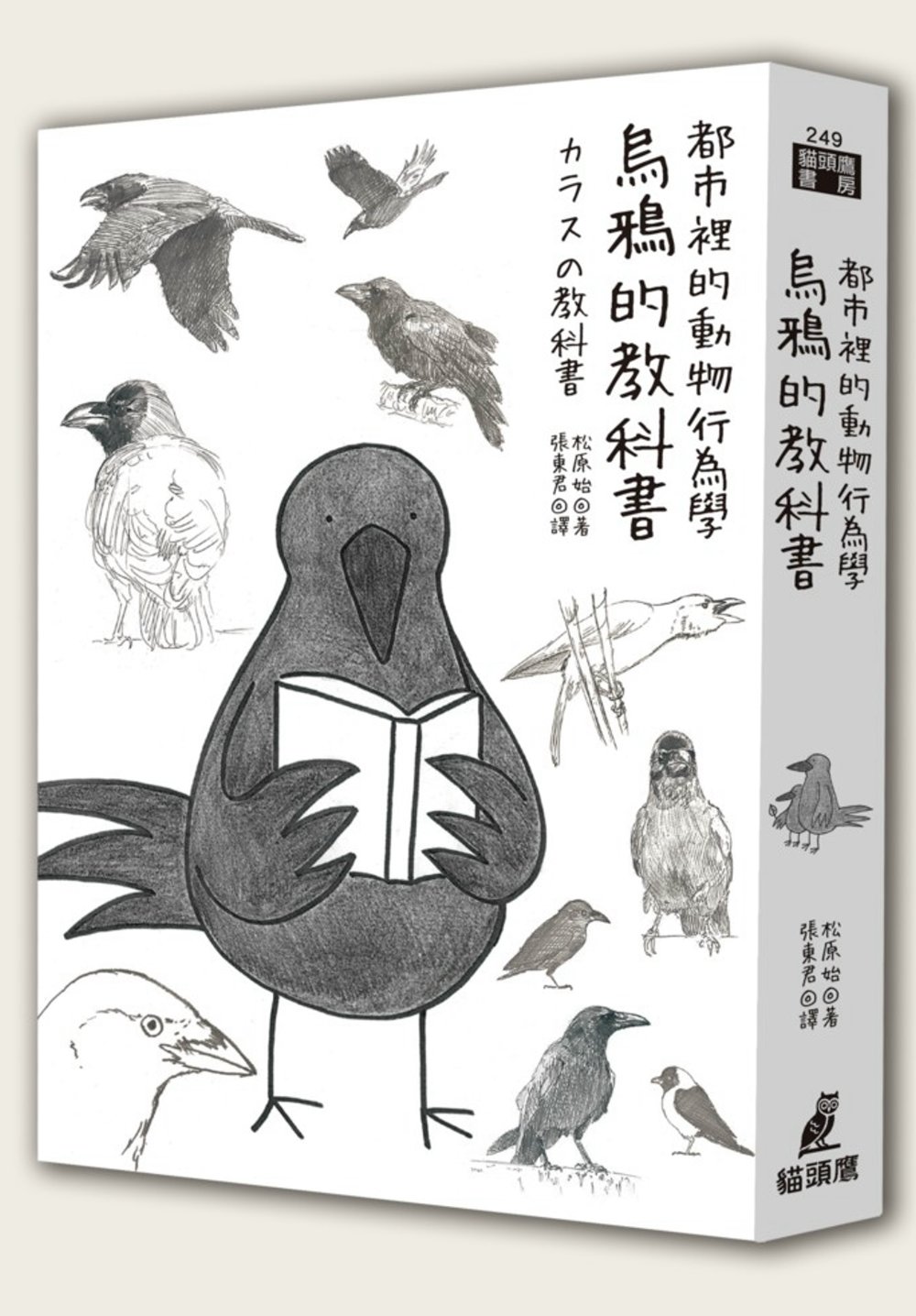 都市裡的動物行為學：烏鴉的教科書