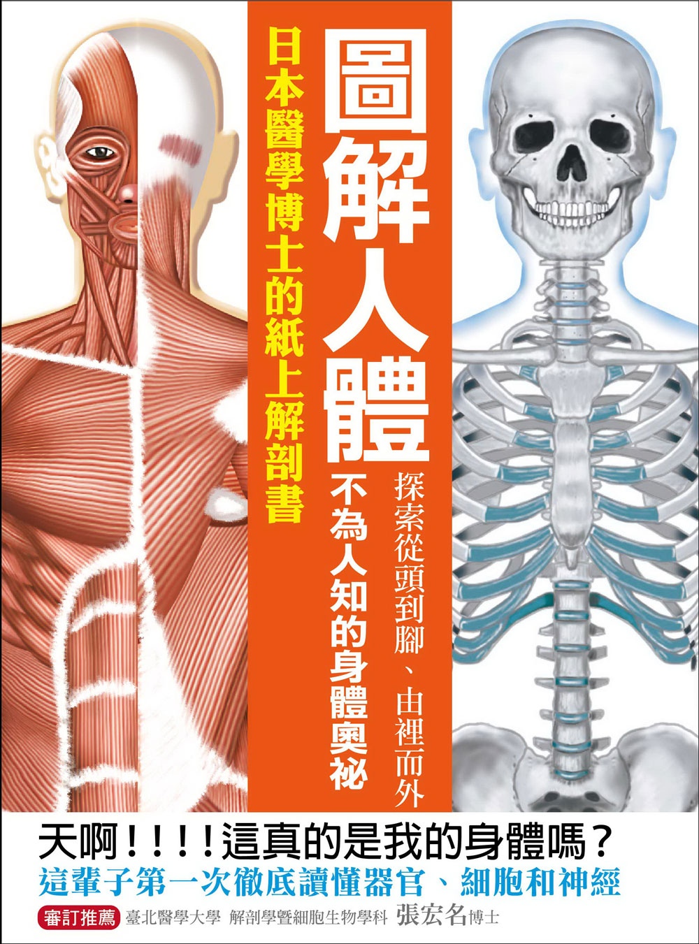 圖解人體：探索從頭到腳、由裡而外不為人知的身體奧祕！日本醫學博士的紙上解剖書！