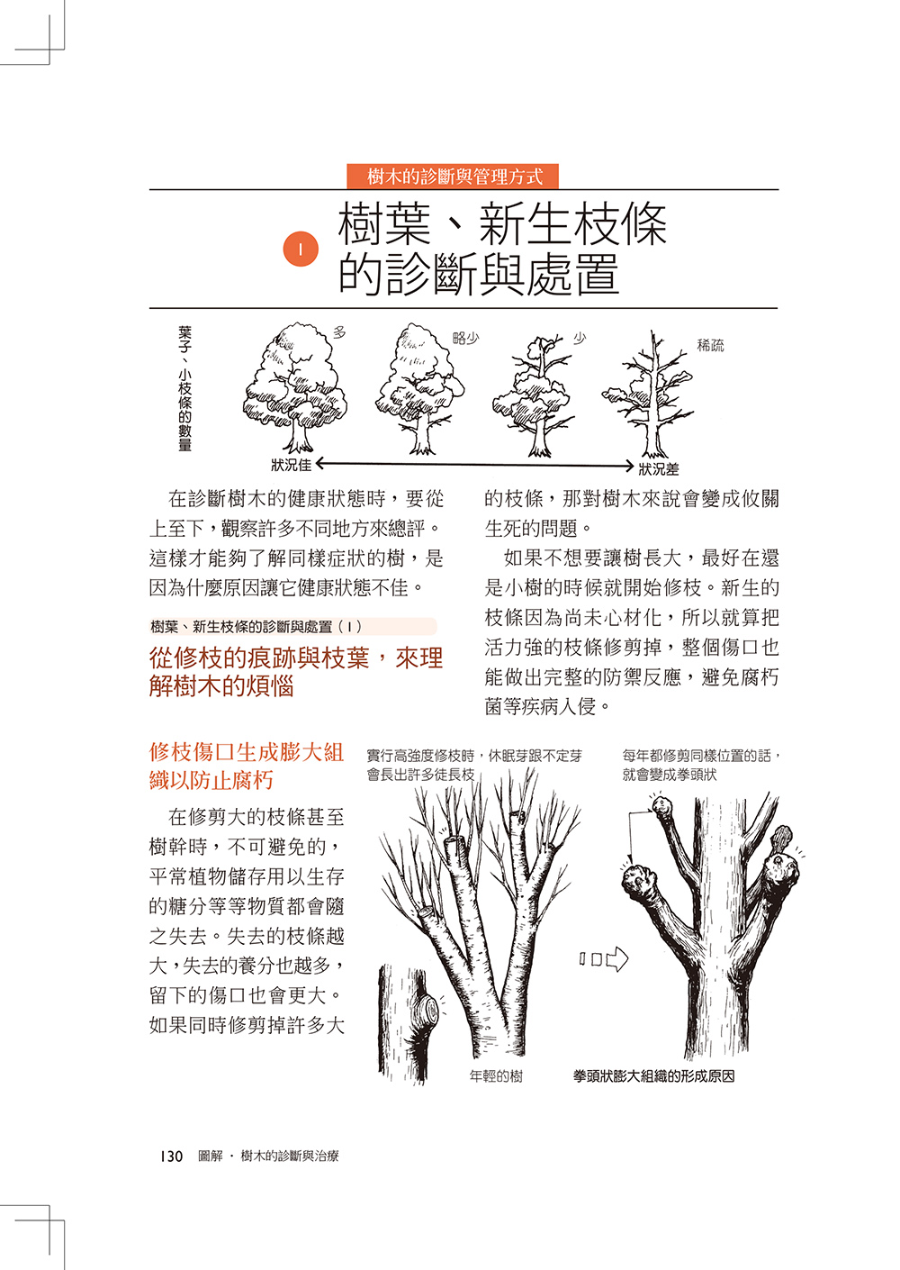 ►GO►最新優惠► [暢銷書]樹木的診斷與治療：愛樹、種樹、養樹、醫樹，請先讀懂樹的語言，了解樹的心聲