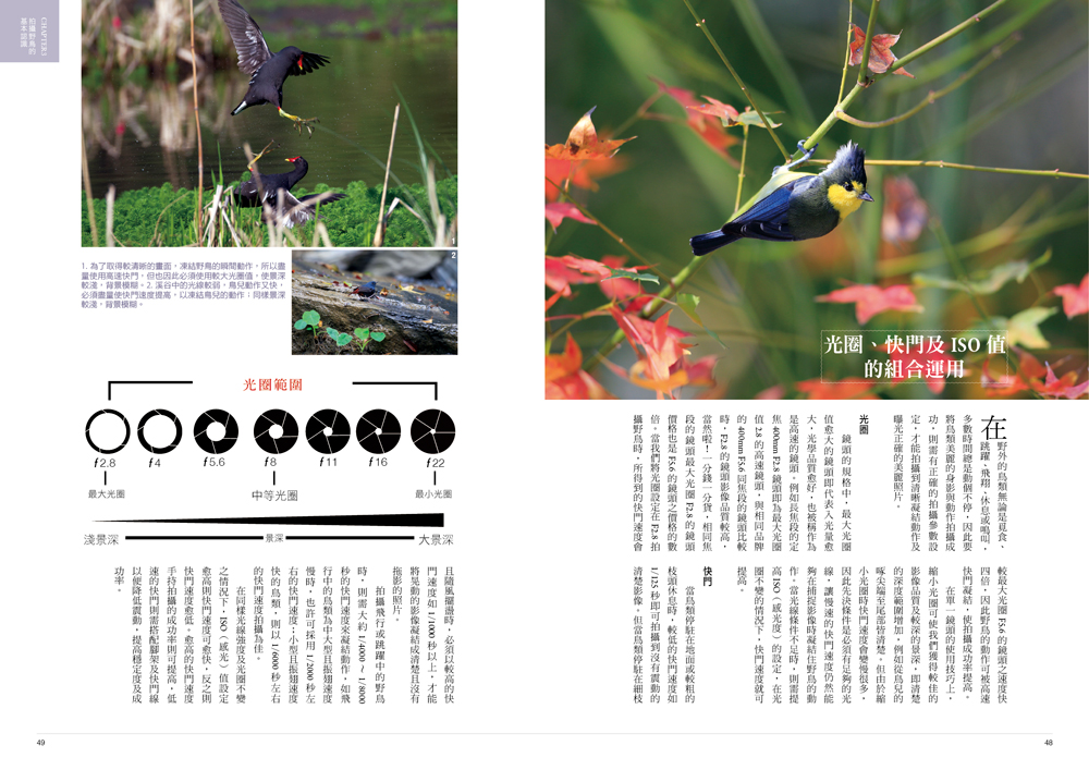 ►GO►最新優惠► [暢銷書]台灣經典賞鳥路線：出發賞鳥去!鳥類觀察與攝影的實戰祕笈