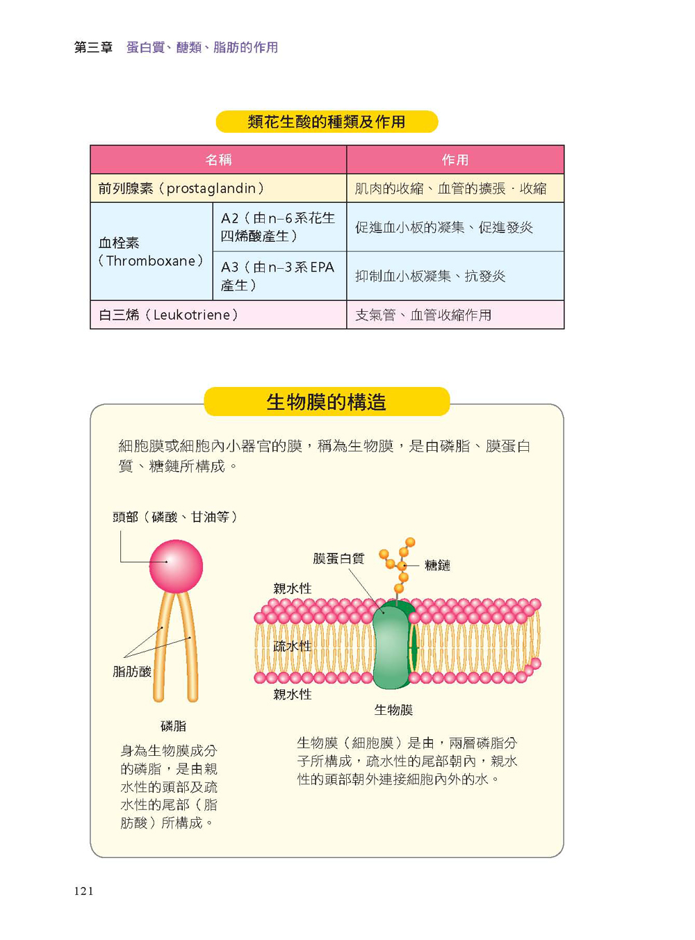 ►GO►最新優惠► [暢銷書]看得見的營養學：吃錯了你會容易生病、快老，該吃什麼、不能吃什麼，照顧自己與家人的最佳寶典