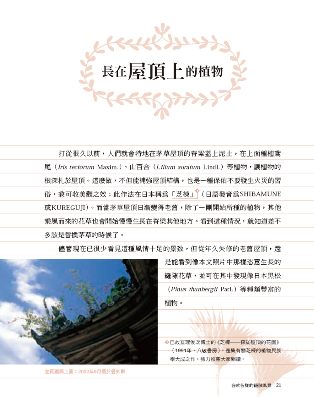 ►GO►最新優惠► [暢銷書]縫隙中的花草世界