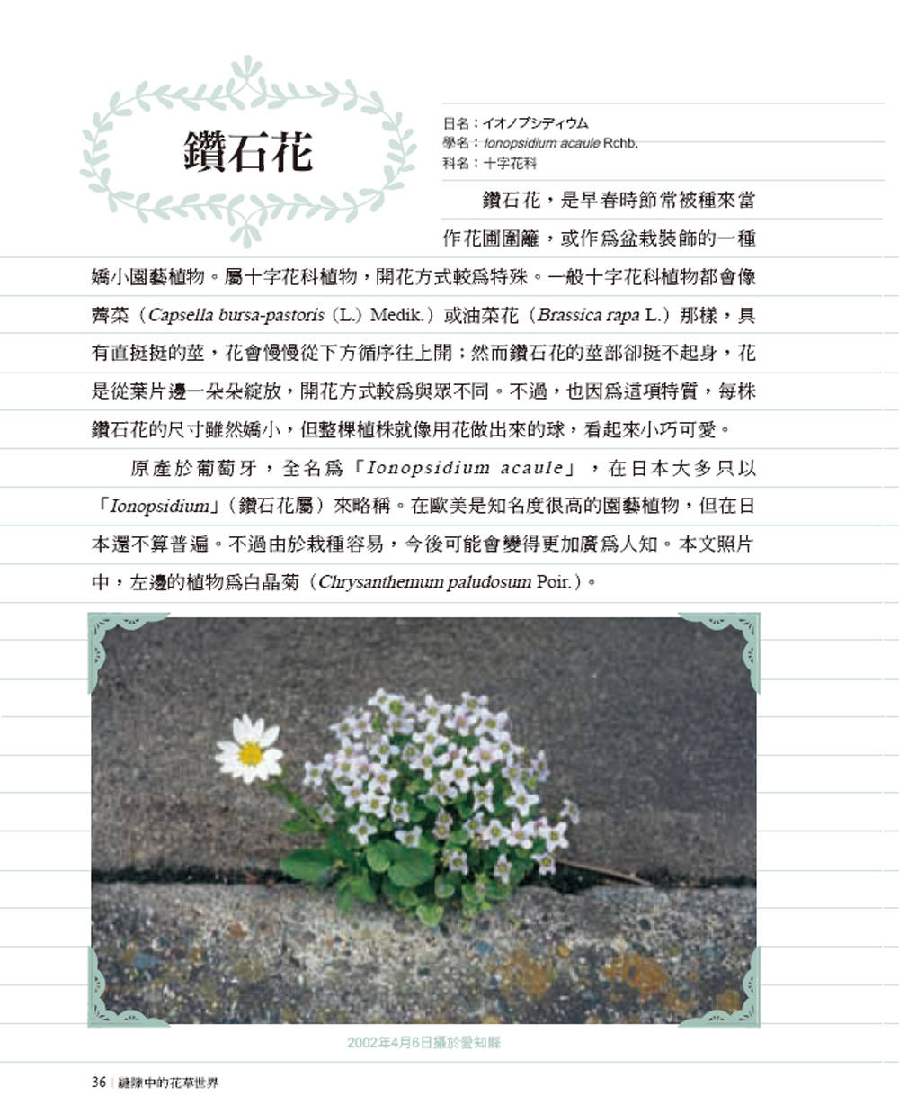 ►GO►最新優惠► [暢銷書]縫隙中的花草世界