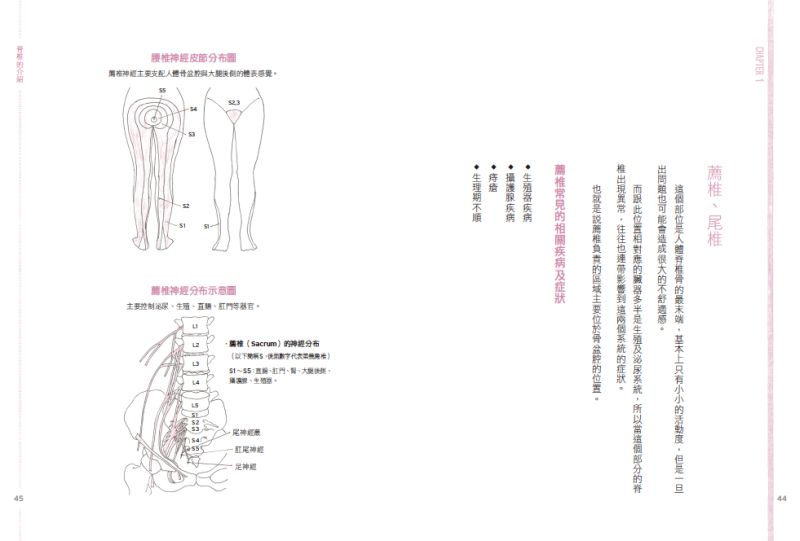 ►醫療保健►暢銷書► 一招伸展神恢復：做對伸展才能消除疼痛，同時瘦身、消水腫、改善鬆弛