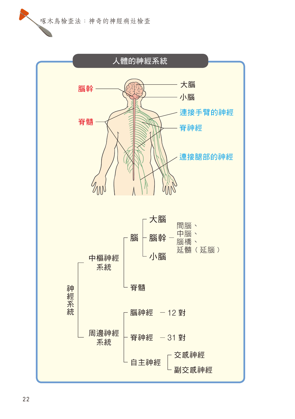 ►GO►最新優惠► [暢銷書]啄木鳥檢查法：神奇的神經病灶檢查（附贈：三角頭簡便型神經鎚）