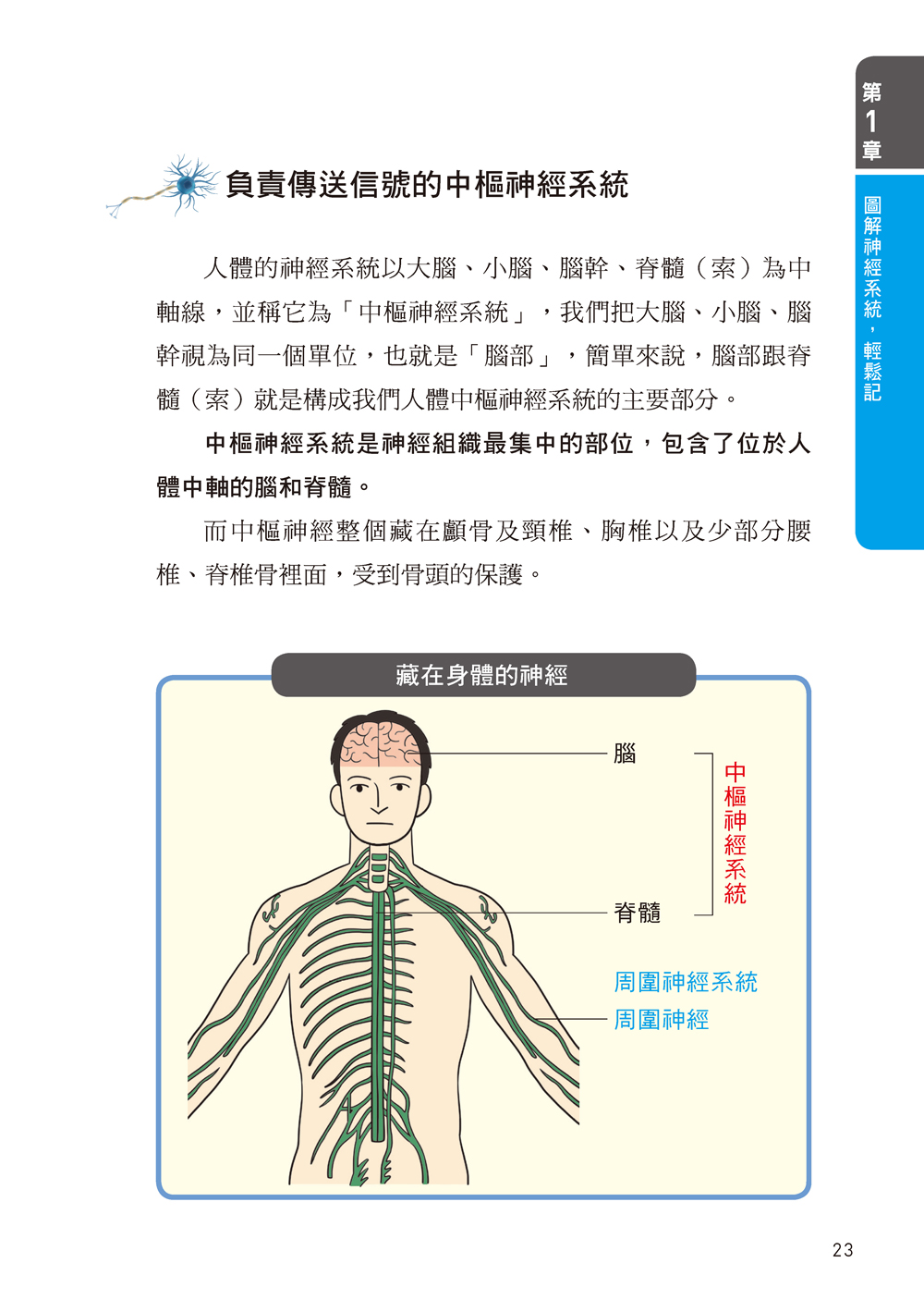 ►GO►最新優惠► [暢銷書]啄木鳥檢查法：神奇的神經病灶檢查（附贈：三角頭簡便型神經鎚）