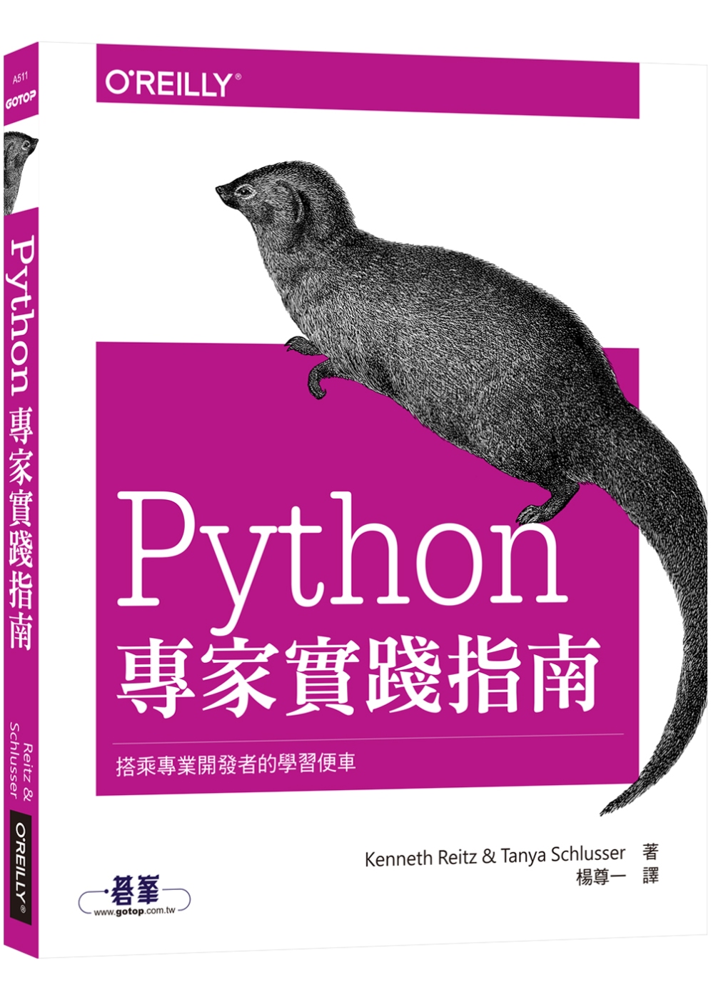 Python專家實踐指南：搭乘專業開發者的學習便車