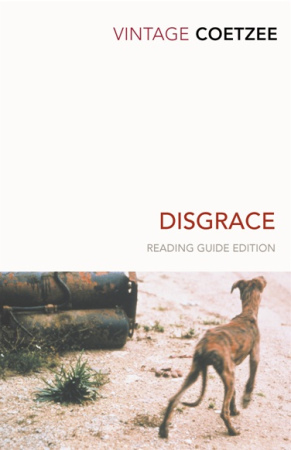 Disgrace (reading guide edition)