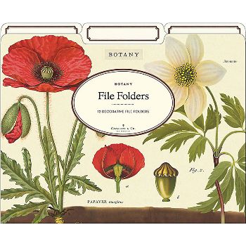 【Cavallini】File Folders資料夾(3入)_Botany