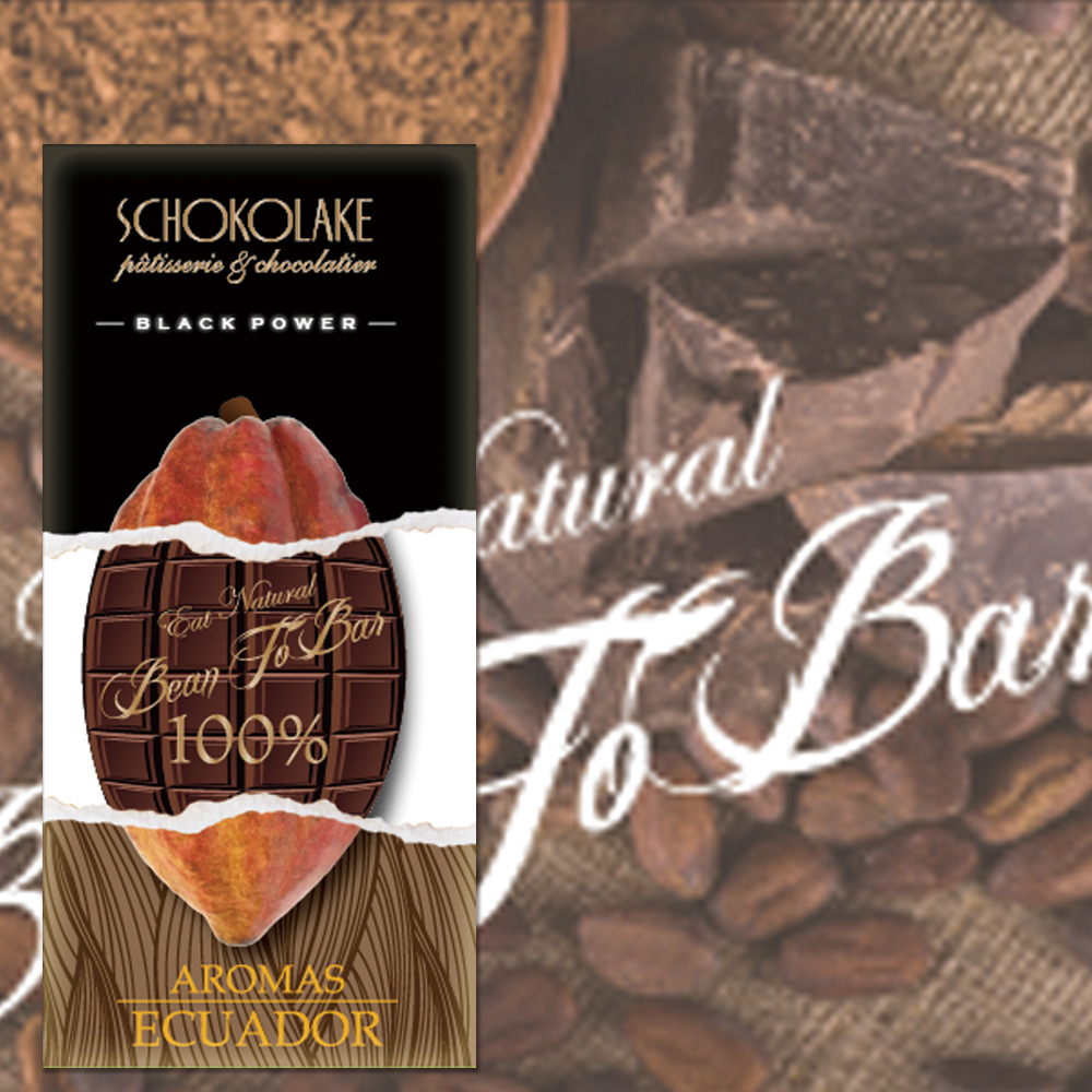 【巧克力雲莊】Bean to bar－100%厄瓜多單一莊園黑巧克力
