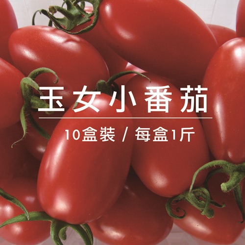 【果漾FruitYoung】㊣台灣正甜心石榴石-玉女小番茄10盒原裝入(1斤/盒)