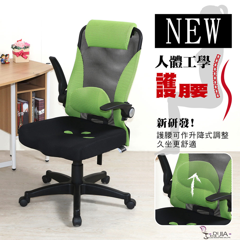 DIJIA 【彩帝新型升降護腰】辦公椅/電腦椅綠色