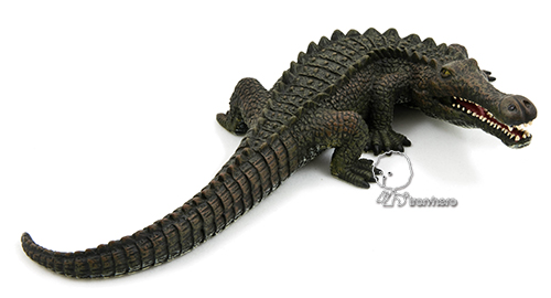 MOJO動物模型-巨鱷