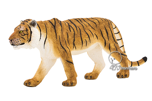 MOJO動物模型-孟加拉虎