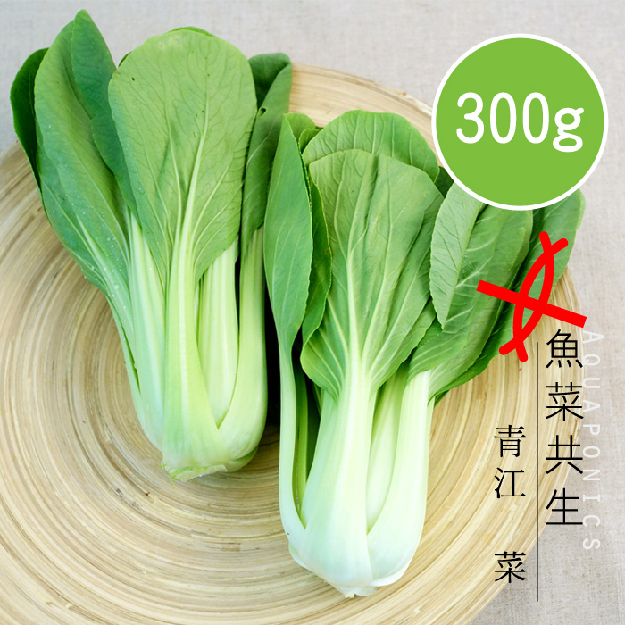 【陽光市集】魚菜共生-青江菜(300g)