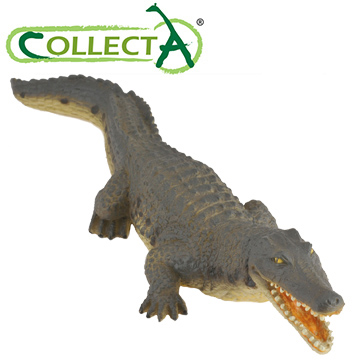 【CollectA】鱷魚