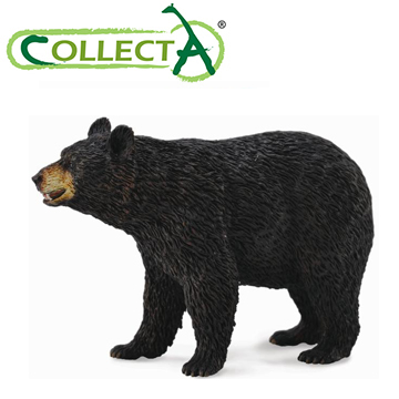 【CollectA】美洲黑熊