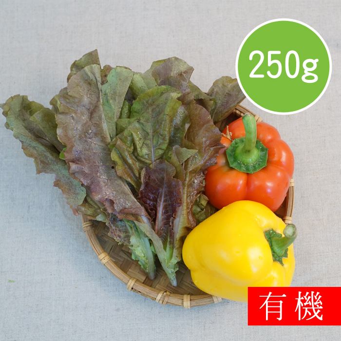 【陽光市集】花蓮好物-有機紅捲萵苣(250g)