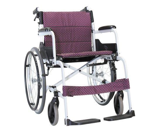 康揚 手動輪椅(未滅菌) 飛揚105