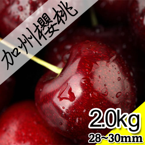 【果漾FruitYoung】預購-└限時空運┘美國加州西北鮮採櫻桃XJ(9.5R)規格(2KG/盒)X4