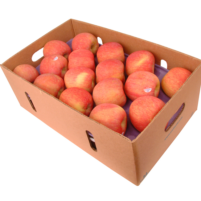 《阿洲水果》智利套袋富士蘋果(28-32粒隨機出貨)