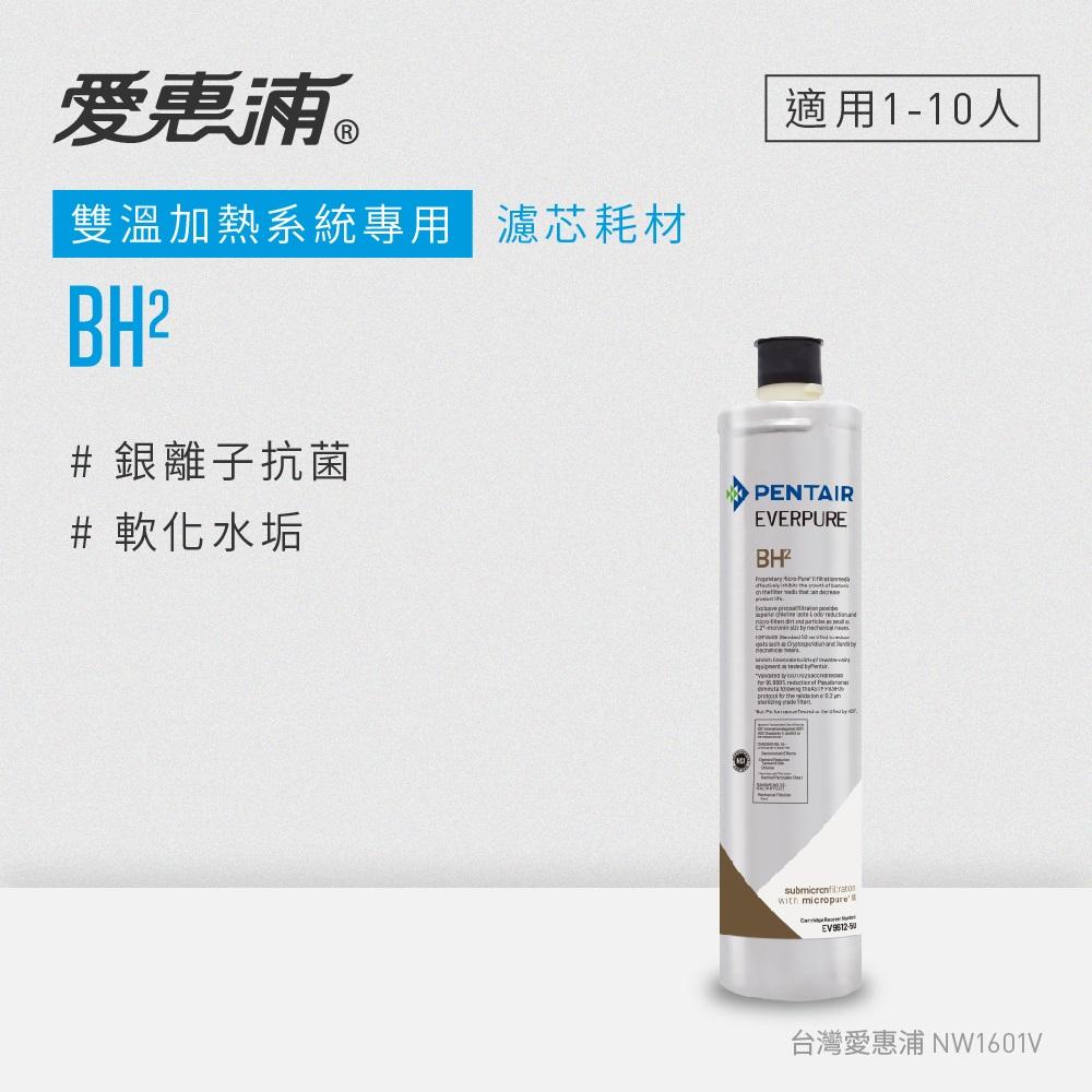 【愛惠浦公司貨】EVERPURE BH2淨水濾芯(BH2 CART)