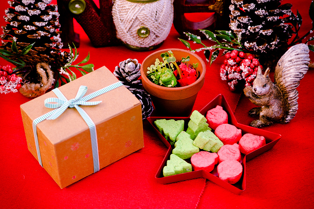 WOOPAPERS 聖誕限定禮物組 (聖誕造型種子球植栽組 & 禮物小卡)