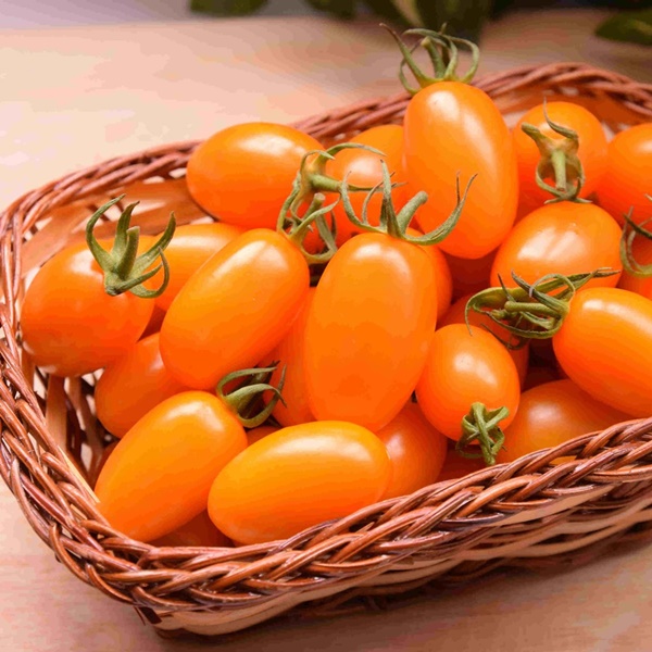 預購《饗果樂》橙蜜香小番茄5台斤/箱