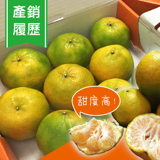 【食在安市集】寶山柑桔：新竹產銷履歷椪柑禮盒(每盒9顆 • 免運宅配)