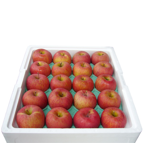 日本青森蜜蘋果(20-23粒隨機出貨)