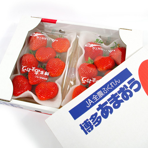 【鮮果日誌】日本進口空運草莓(2入裝)