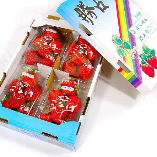 【鮮果日誌】日本進口空運草莓(4入裝)