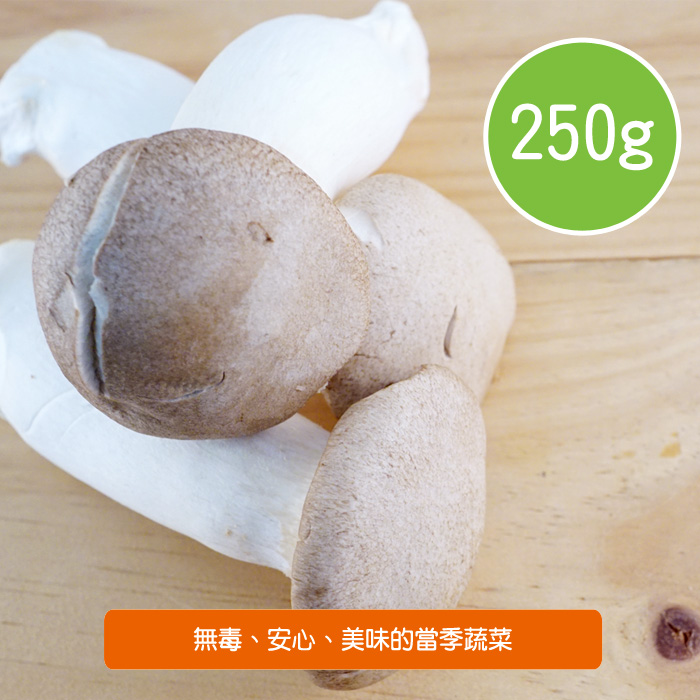 【陽光市集】陽光農業-杏鮑菇(250g/盒)