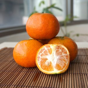 【食在安市集】佛利蒙柑橘(3斤)(免運宅配)