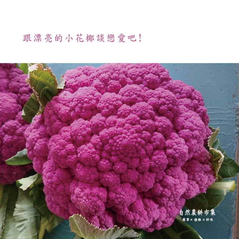 [自然農耕市集]溫室紫色花椰菜-12顆裝