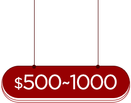 $500~1000