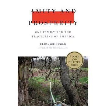 Amity and prosperity : one family and the fracturing of America /